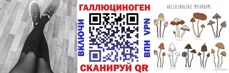 Галлюциногенные грибы Psilocybe  Арзамас 