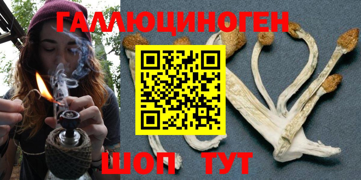 Галлюциногенные грибы Cubensis  Вход с VPN  Арзамас 